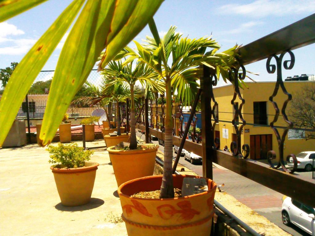 Posada De Xochitl - Centro Oaxaca Exterior foto